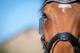 Blinkers Läder Svart