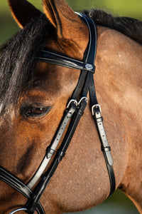 Elegant Träns Svart
