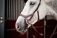 Micklem 2 Competition Bridle Dark Havanna