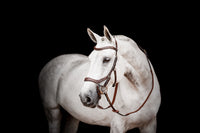 Micklem 2 Competition Bridle Dark Havanna