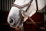 Micklem 2 Competition Bridle Dark Havanna