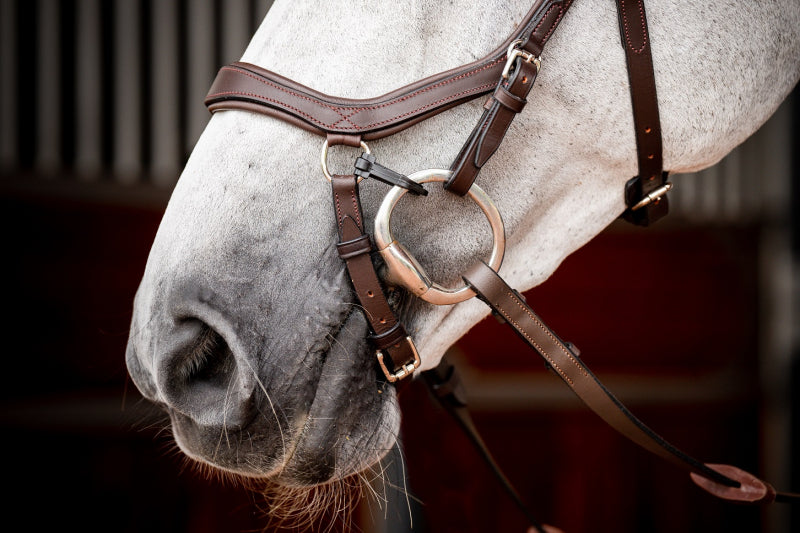 Micklem 2 Competition Bridle Dark Havanna