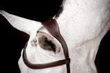 Micklem 2 Competition Bridle Dark Havanna