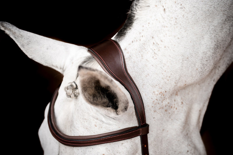 Micklem 2 Competition Bridle Dark Havanna