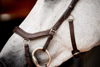 Micklem 2 Competition Bridle Dark Havanna