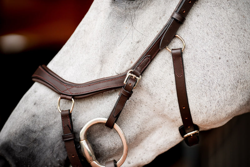 Micklem 2 Competition Bridle Dark Havanna