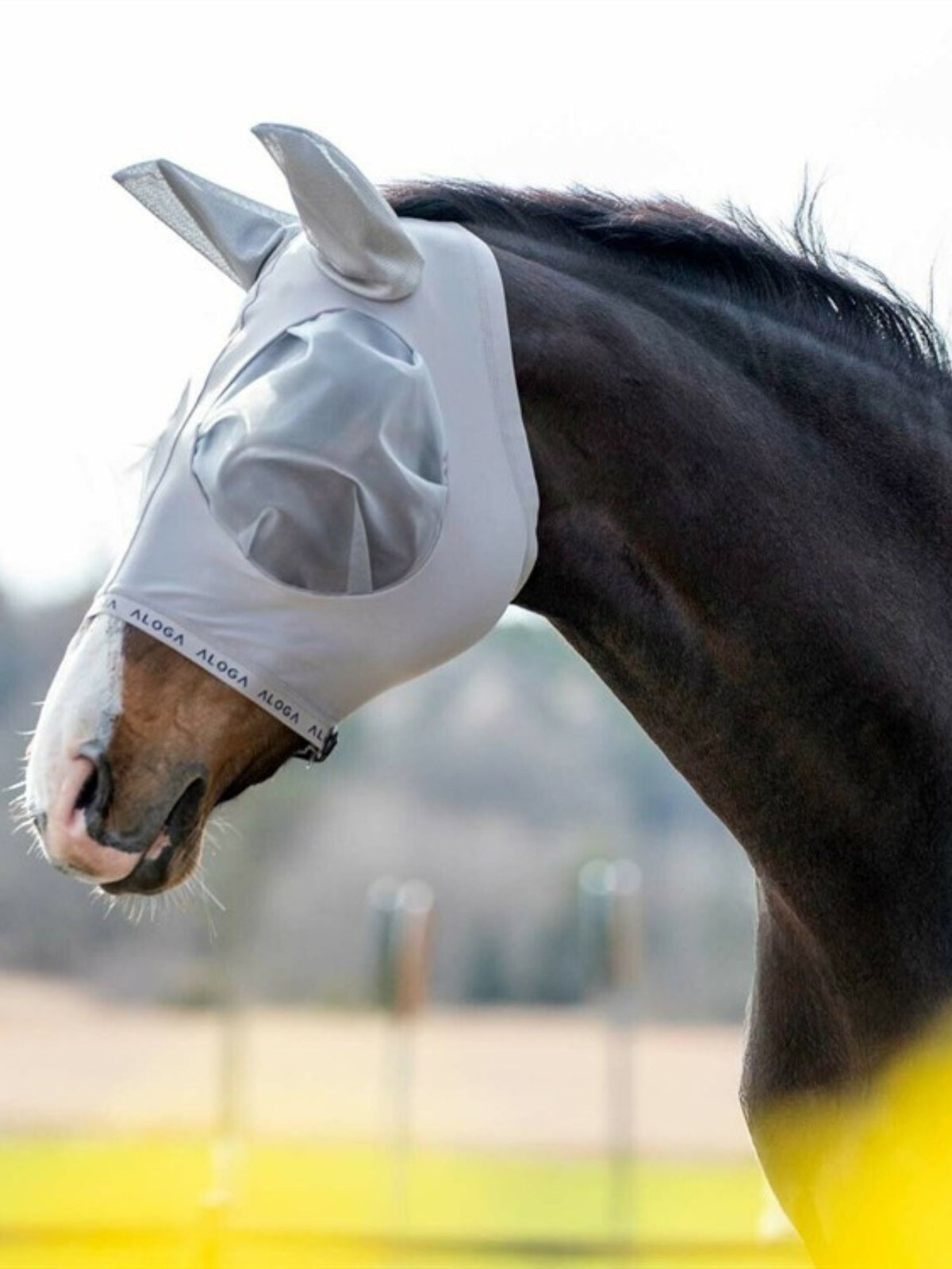 Fly Mask Grey