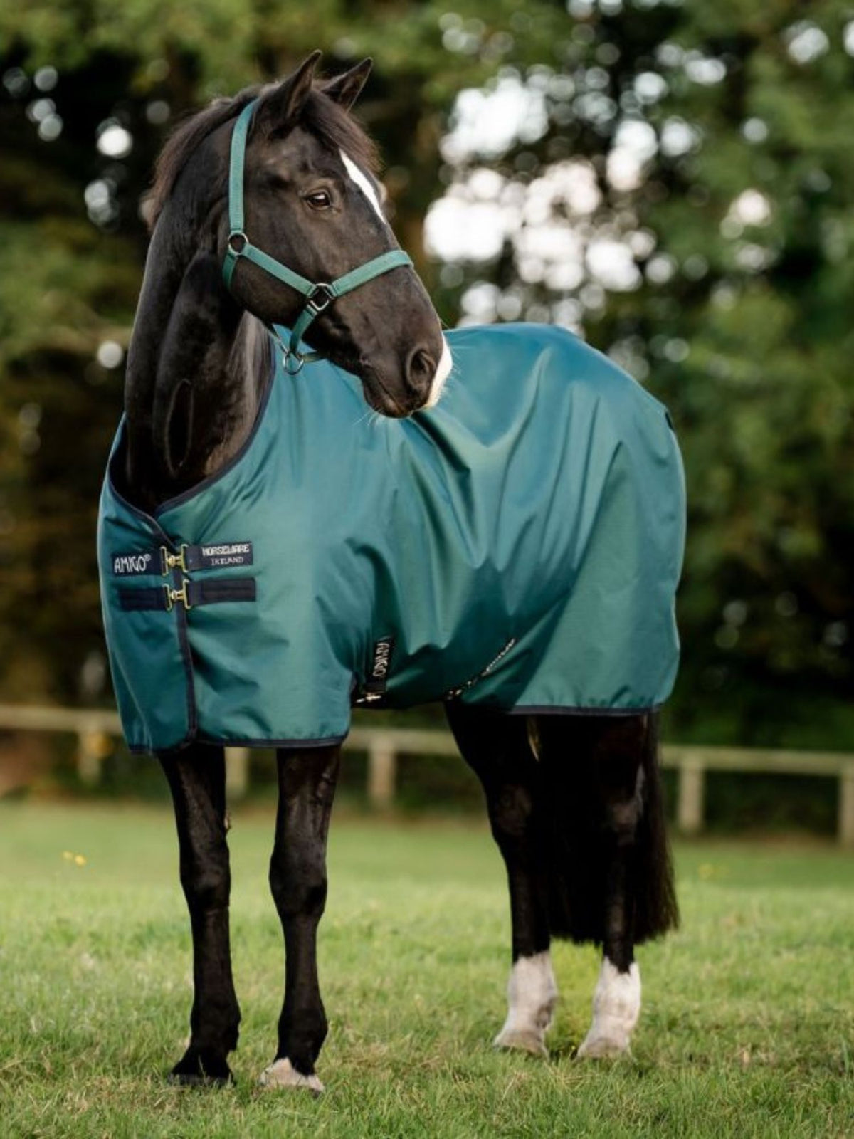 Regntäcke Amigo Ripstop 900D Pony Turnout Dynasty Green/Navy & Silver