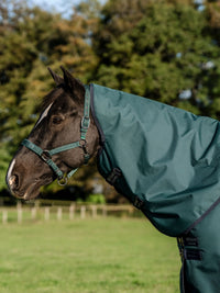 Utetäcke Amigo Ripstop 900D Plus Pony 100g Turnout Dynasty Green/ Navy & Silver