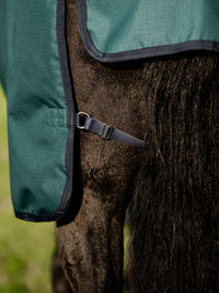 Utetäcke Amigo Ripstop 900D Plus Pony 100g Turnout Dynasty Green/ Navy & Silver