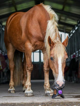Hållare Bizzy Ball Svart