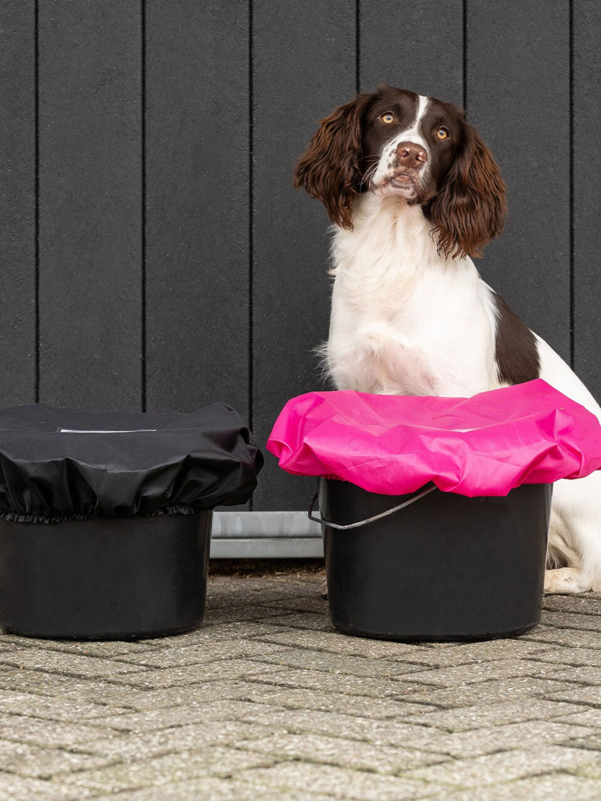 Bucket Cover Fucshia