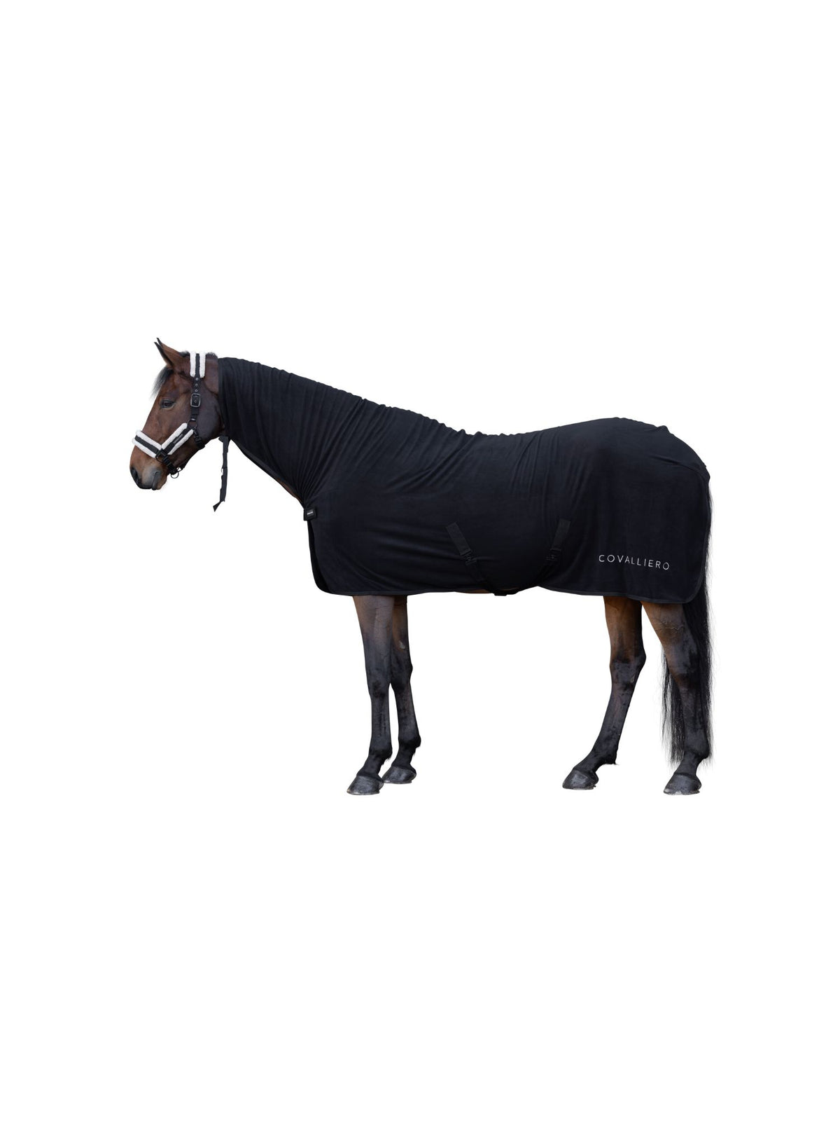 Cooler Rug Svart