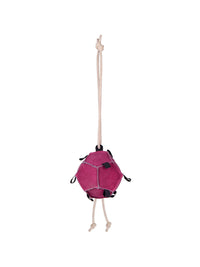 Hästleksak Boll Rosa