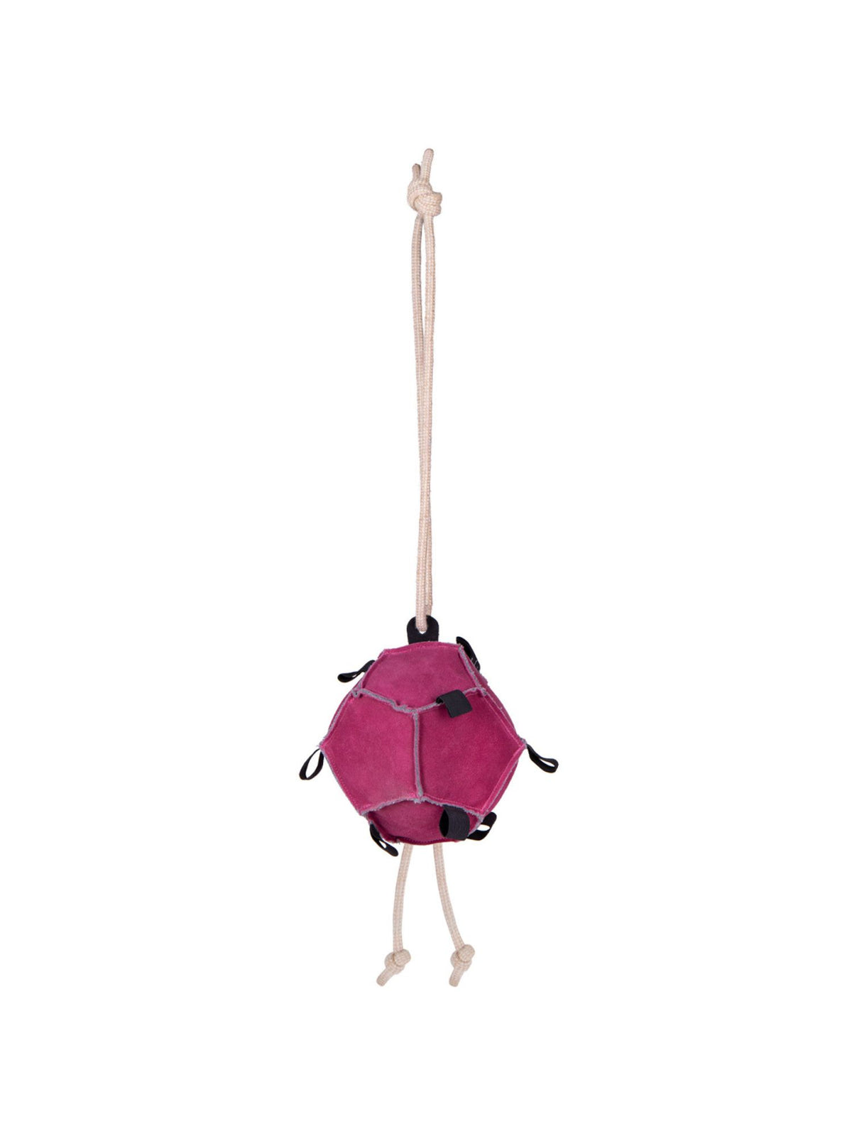 Hästleksak Boll Rosa