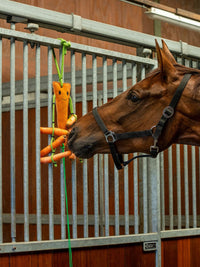 Hästleksak Morot Med Hönät Orange