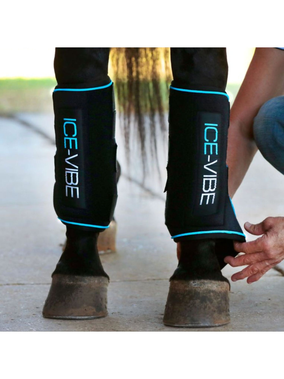 Ice-Vibe Horseware Full Black/Aqua