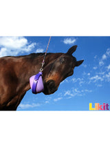 Bordom Buster Lila