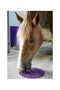 Graze Maze Slowfeeding Slickmatta Purple
