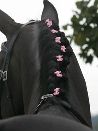 Manrosetter 20-Pack Rosa