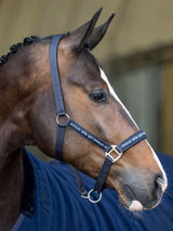 Nena Grimma Navy