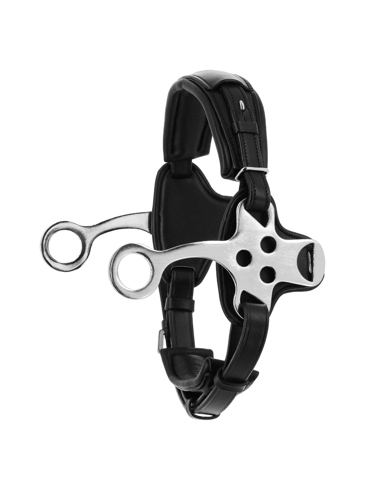 Hackamore Svart