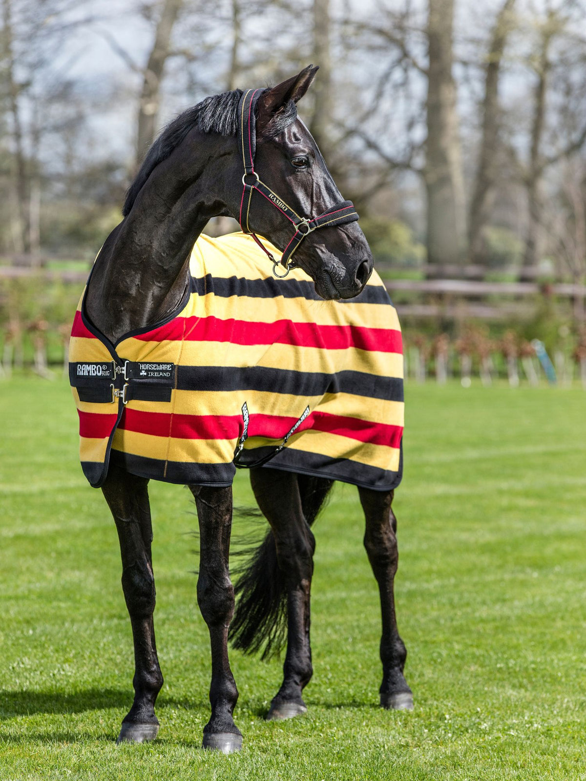 Rambo Deluxe Fleece Witney Gold