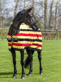 Rambo Deluxe Fleece Witney Gold