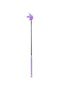 Ridspö Shiny Aster Purple