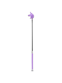 Ridspö Shiny Aster Purple