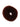 Mini Dressage Donut Brown
