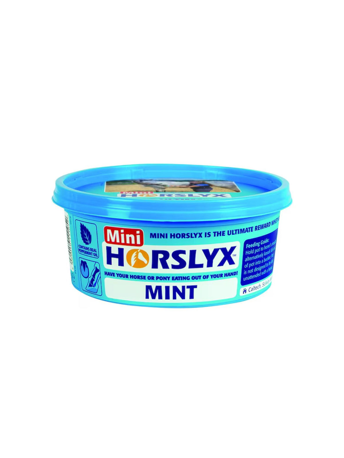 Slicksten Mint