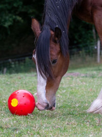Snak-A-Boll Röd