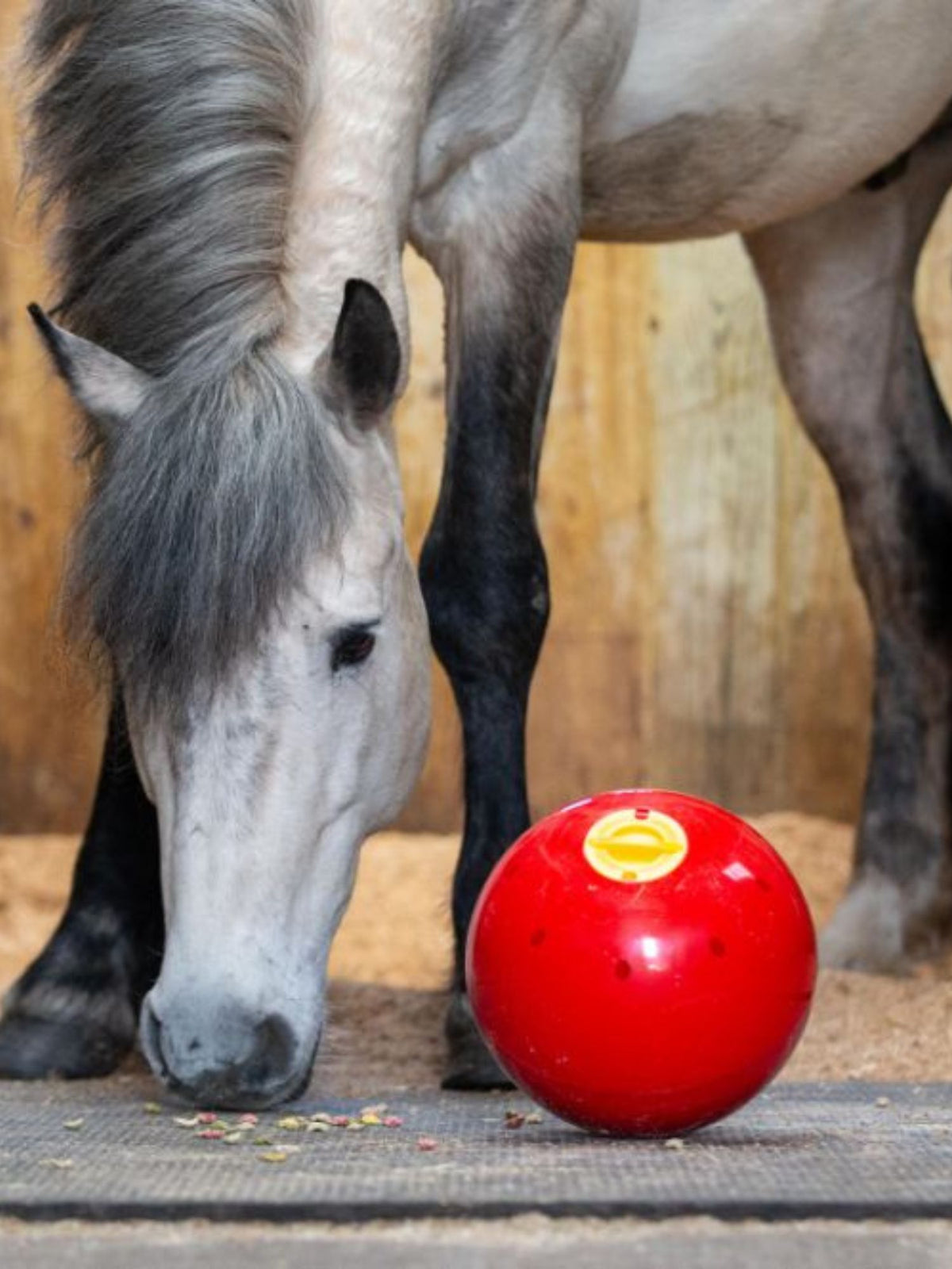 Snak-A-Boll Röd