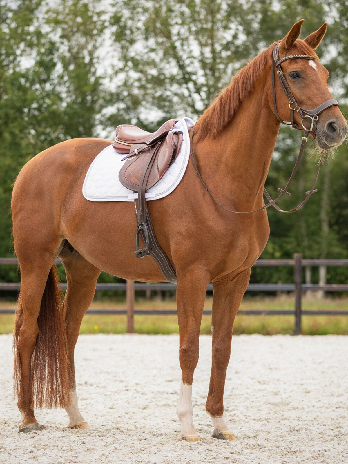 Hoppschabrak Sparkle Vit