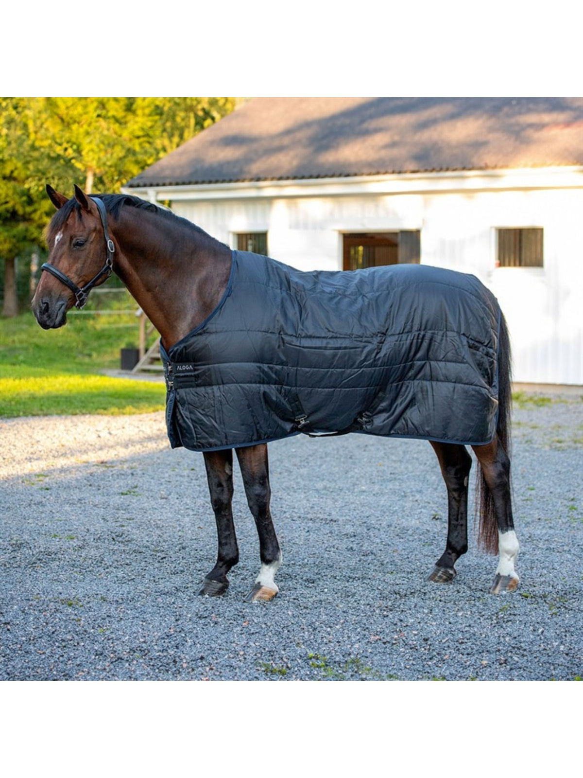 Stalltäcke 2.0 150g Svart/Navy