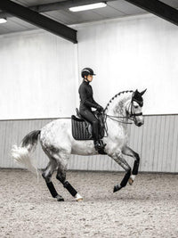 Suede Dressage Square Schabrak Black