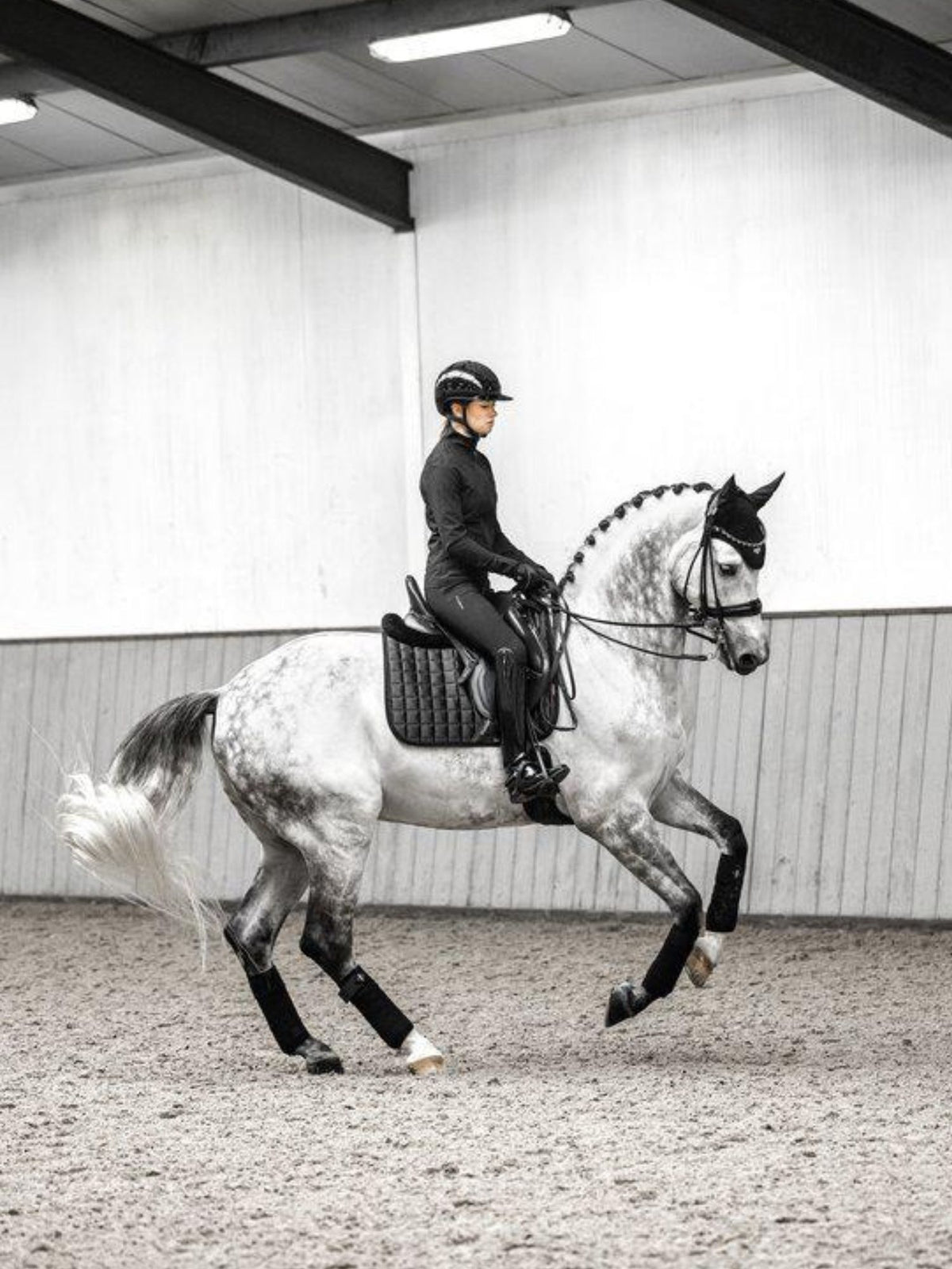 Suede Dressage Square Schabrak Black