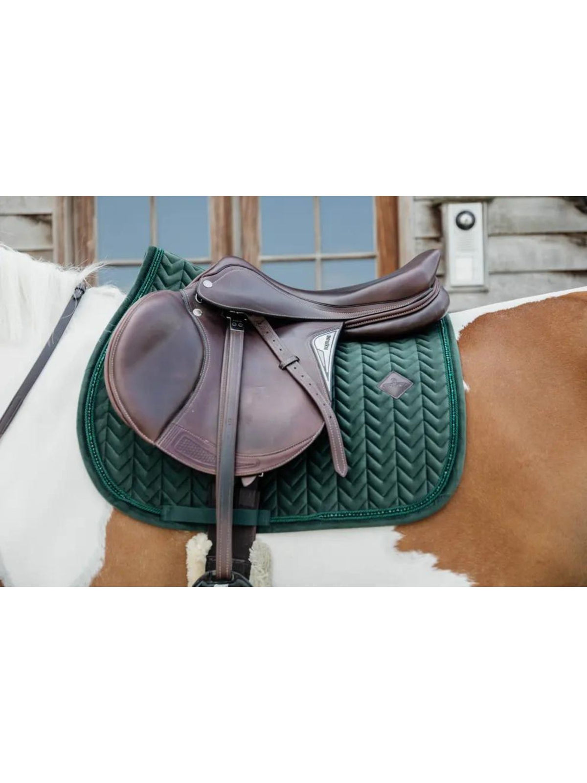 Hoppschabrak Velvet Pearls Pine Green