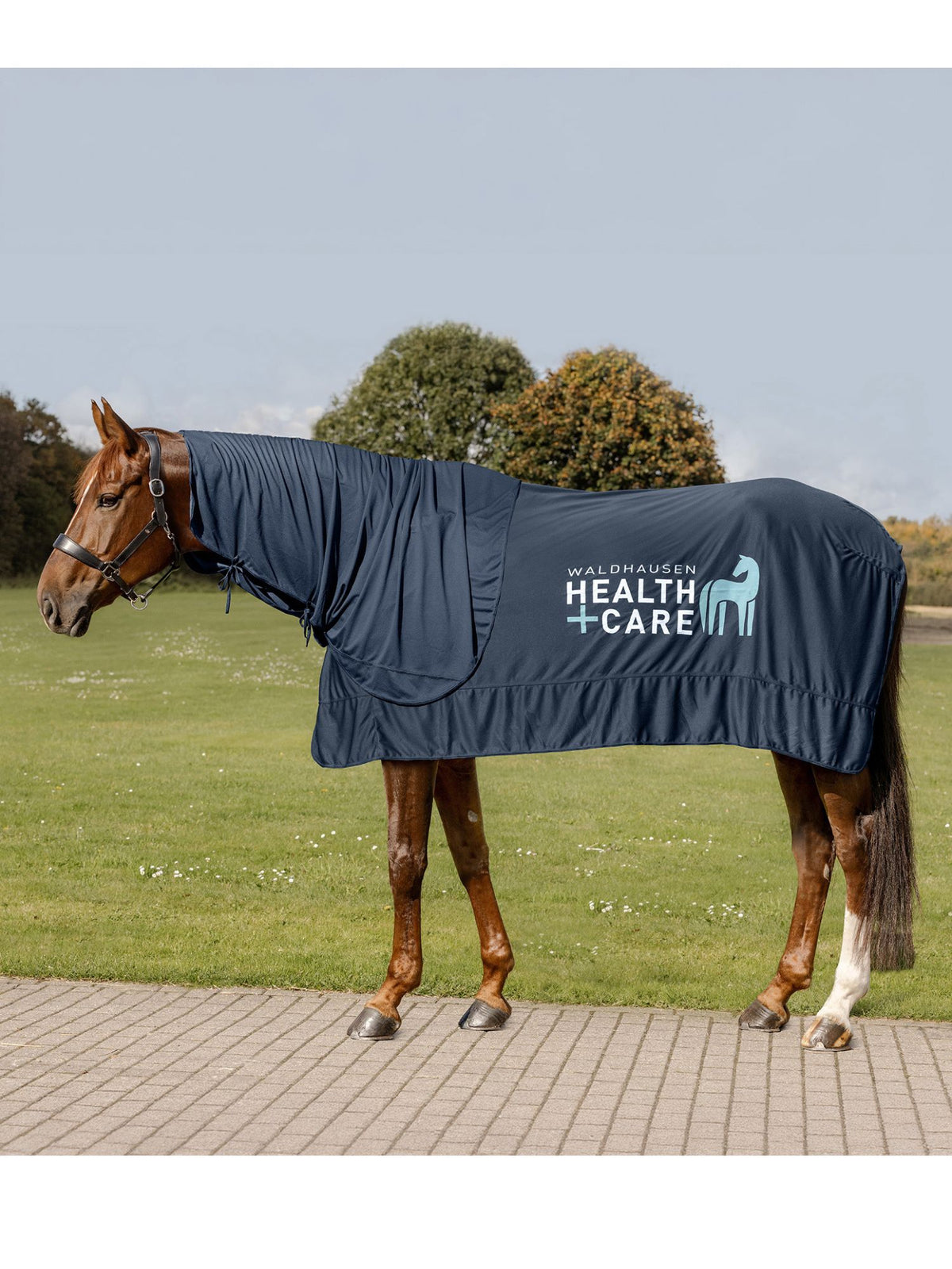 W-Health + Care Ice Layer Neck Part Nightblue