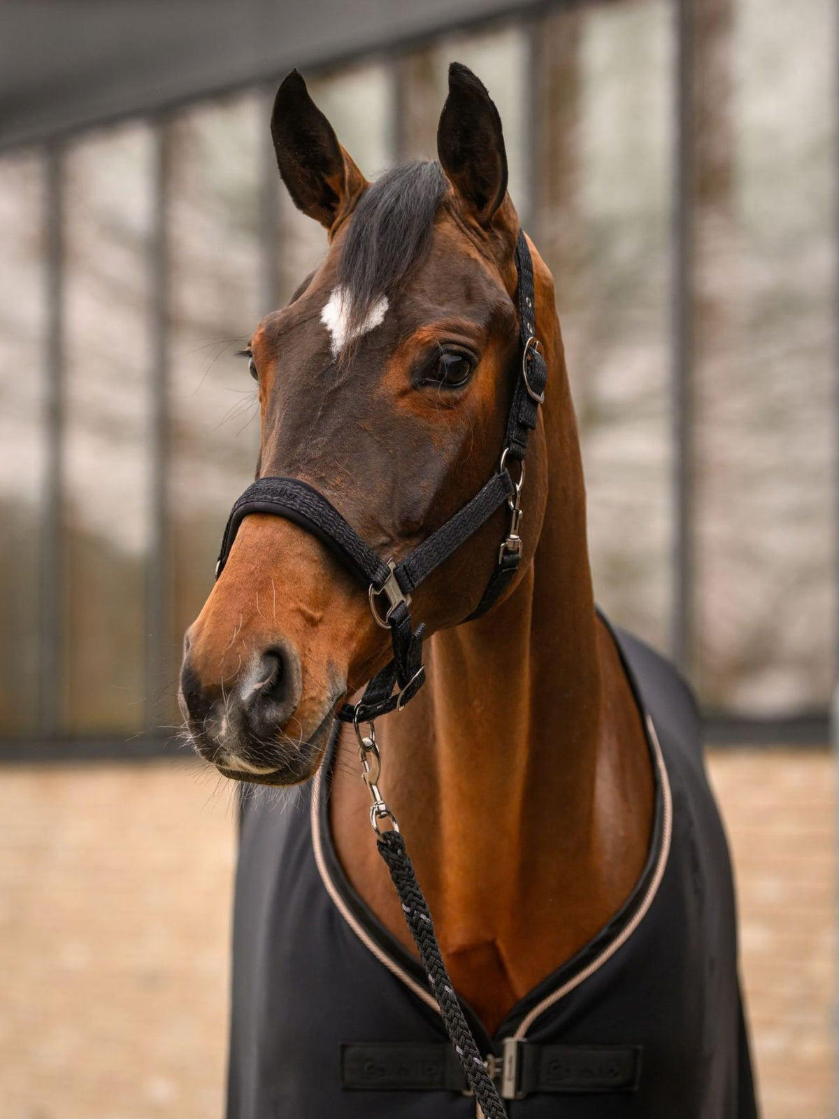 Grimma Cavalrose Black