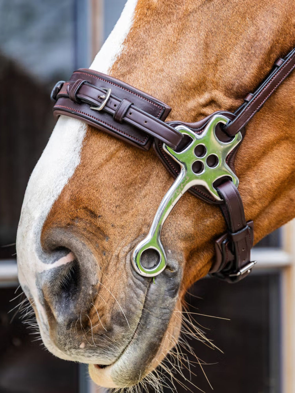 Hackamore New English Brun