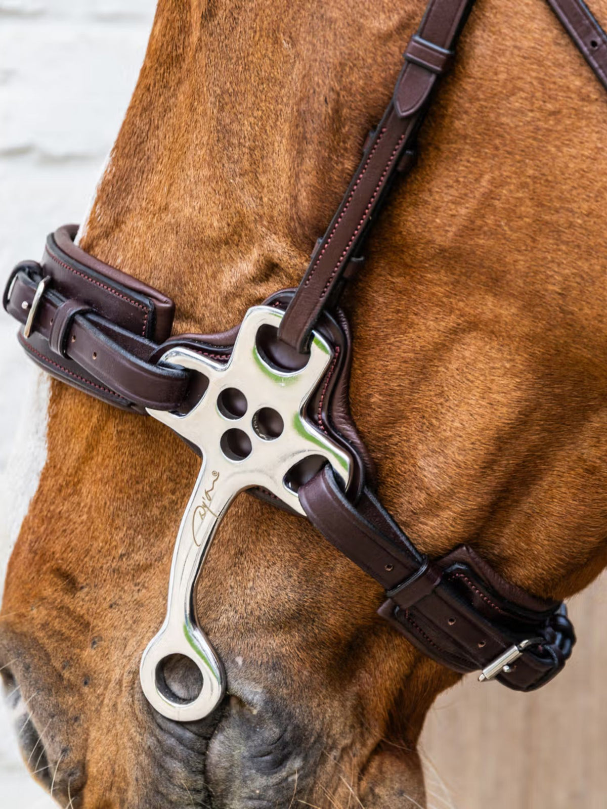 Hackamore New English Brun