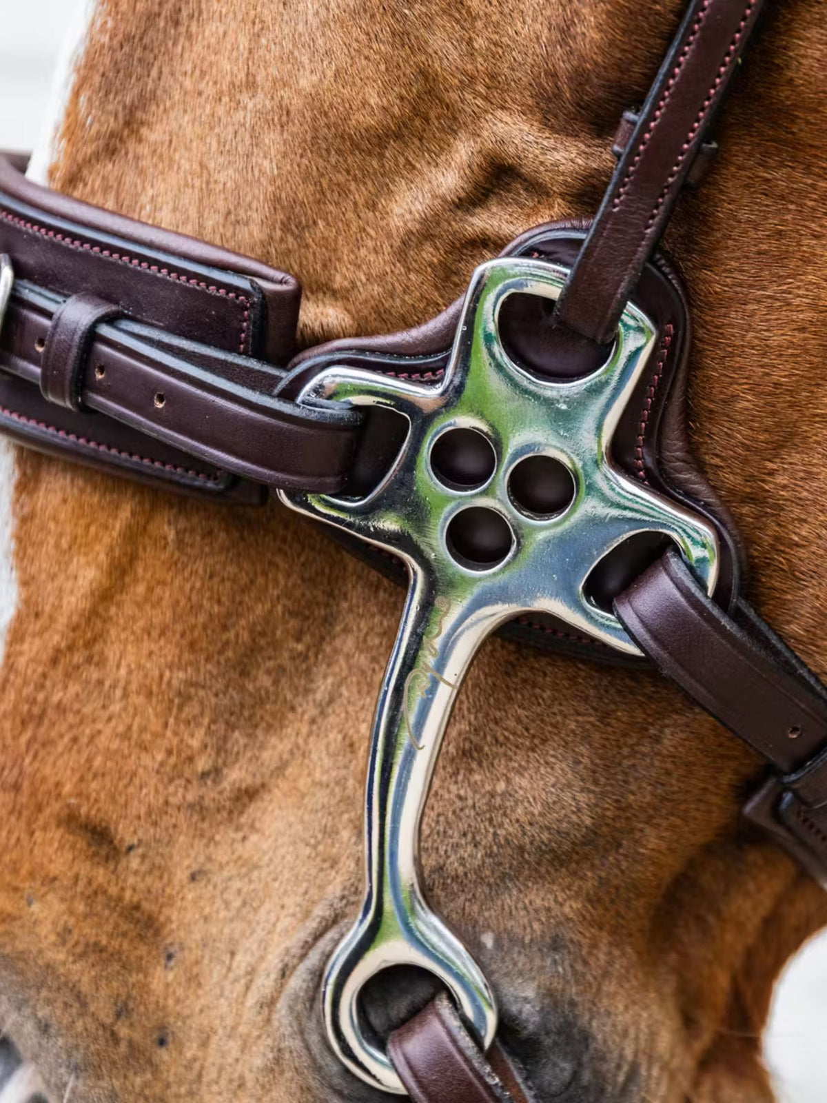 Hackamore New English Brun