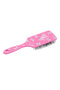 Man & Svansborste Phlox Pink