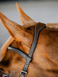 Micklem Competition Bridle Dark Havanna