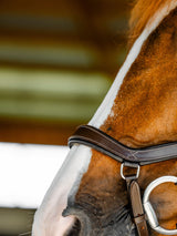 Micklem Competition Bridle Dark Havanna