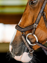 Micklem Competition Bridle Dark Havanna
