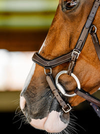 Micklem Competition Bridle Dark Havanna