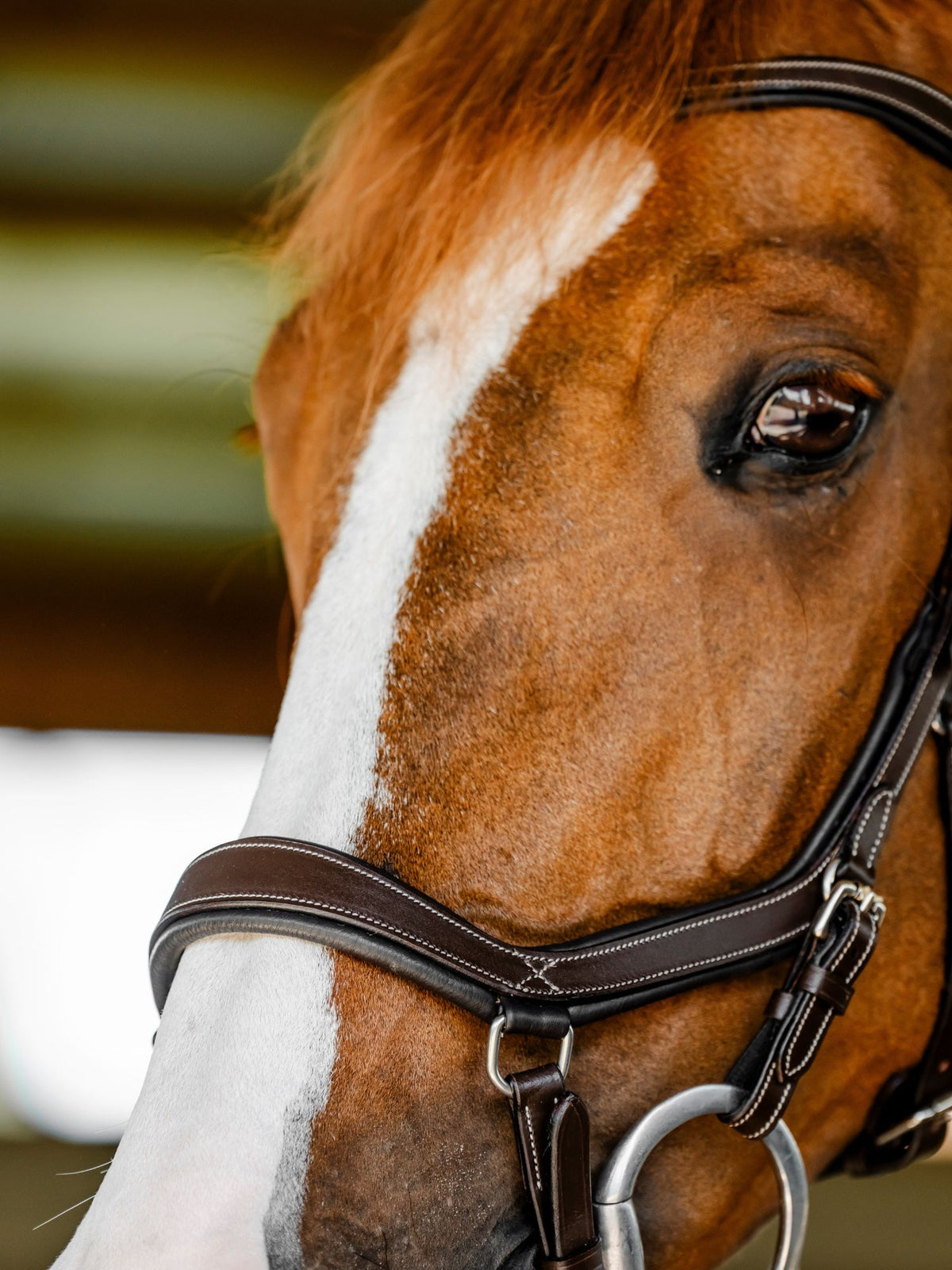 Micklem Competition Bridle Dark Havanna